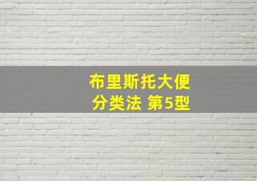 布里斯托大便分类法 第5型